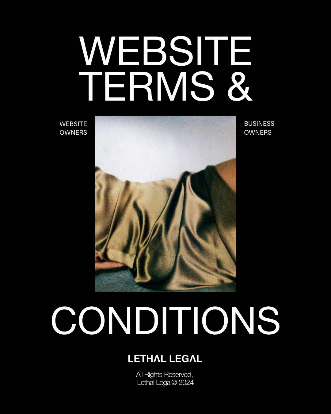 Website Terms + Conditions Lethal Legal Bodega